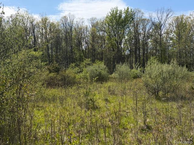 Parcel A & B Parcel A & B Kelch Road Mayville, MI 48744 - Photo 4 of 6