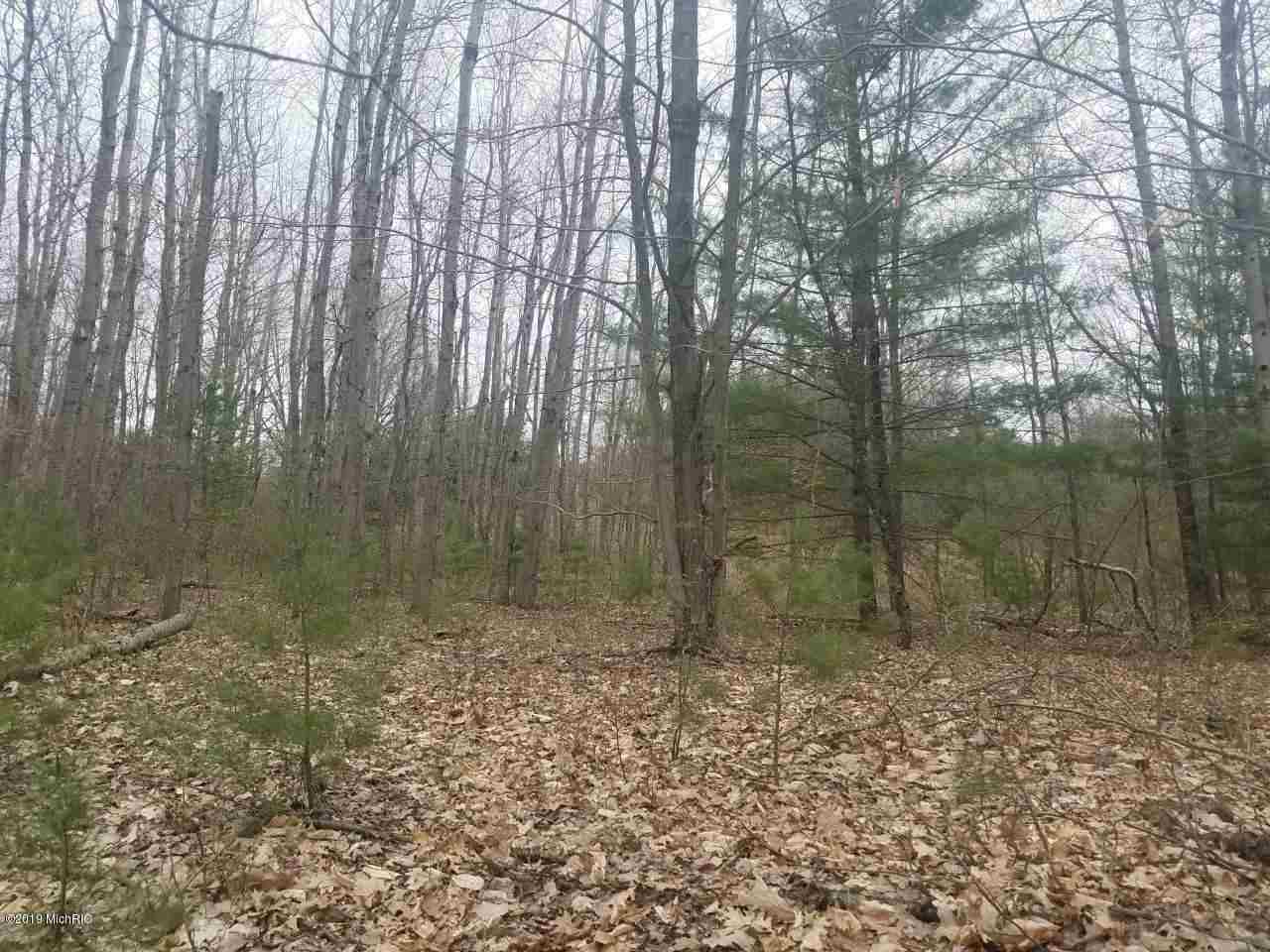 Vl East Yale Road, Unit PAR E Hesperia, MI 49421 - Photo 7 of 21 Gallery Image 7