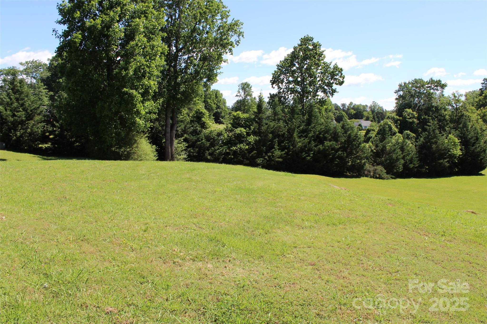 1-ac Thompson Road Rutherfordton, NC 28139 - Photo 15 of 21 a view of outdoor space and yard