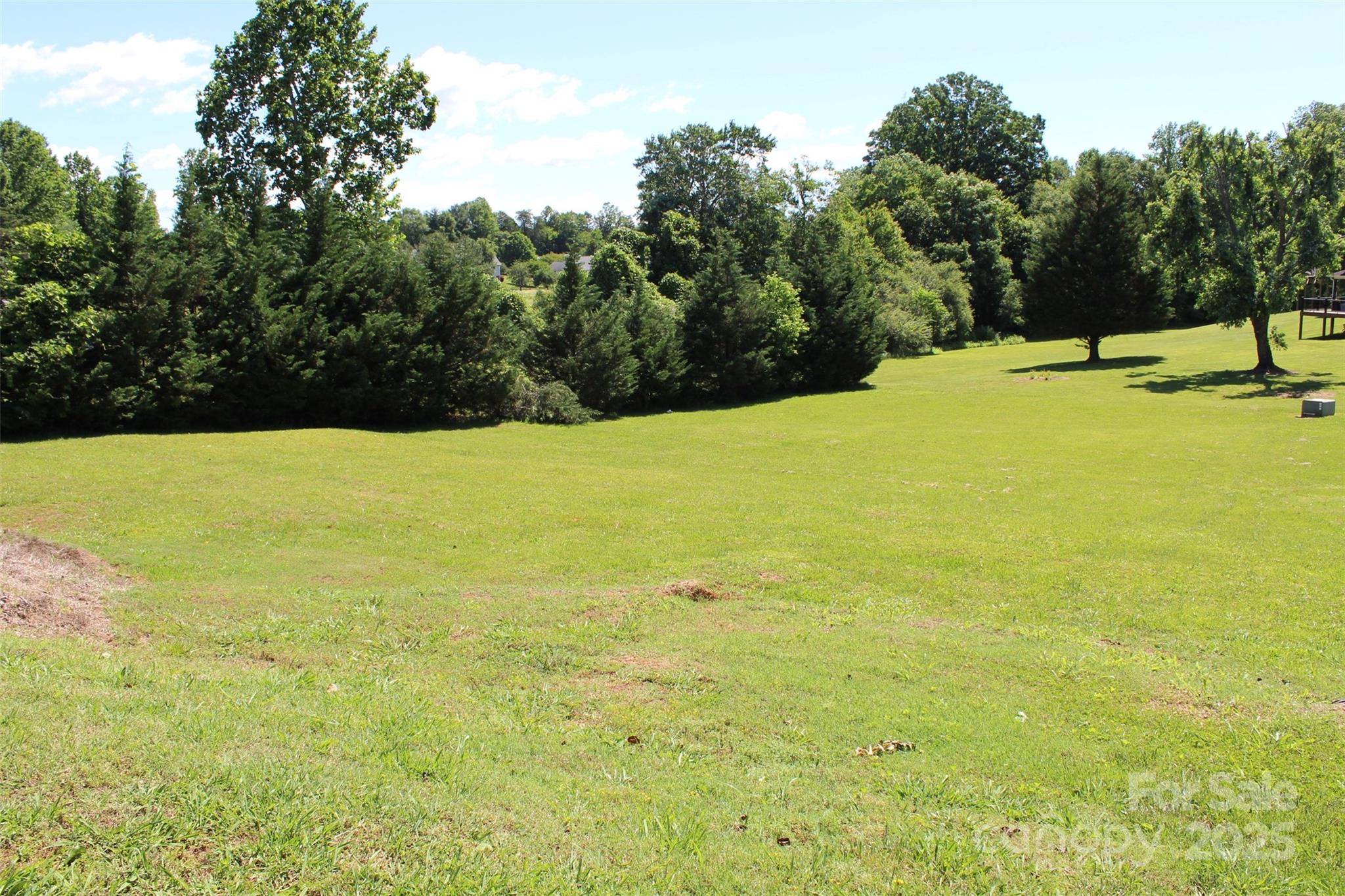 1-ac Thompson Road Rutherfordton, NC 28139 - Photo 16 of 21 a view of a pool with a yard