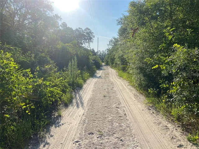 a view of a yard with plants and a brick wall