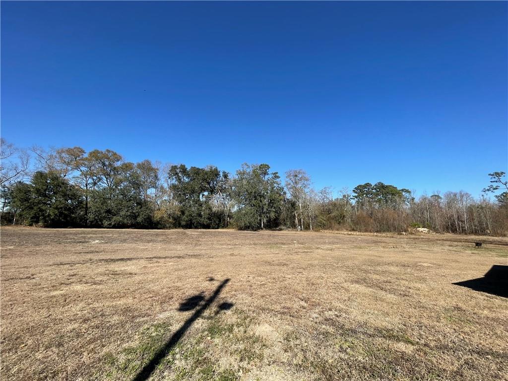 169 Lumby Smith Road Adel, GA 31620 - Photo 53 of 55