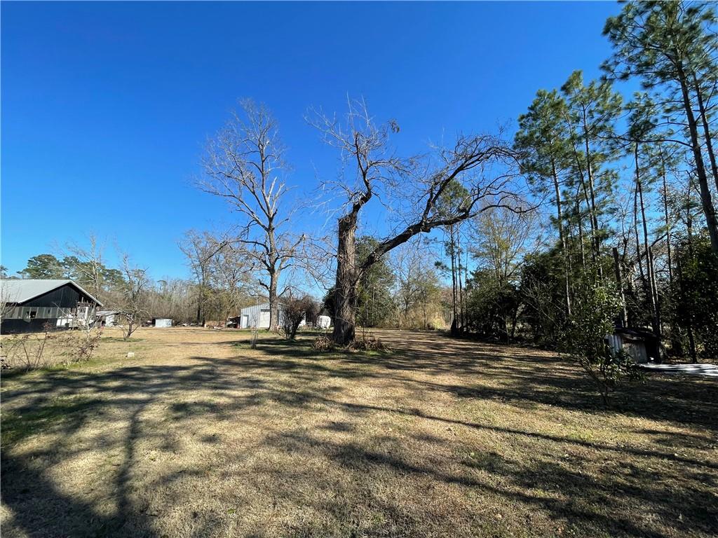 169 Lumby Smith Road Adel, GA 31620 - Photo 54 of 55