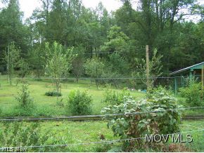 2247 Ripley Road Spencer, WV 25276 - Photo 16 of 24 Fenced area for berries, etc.