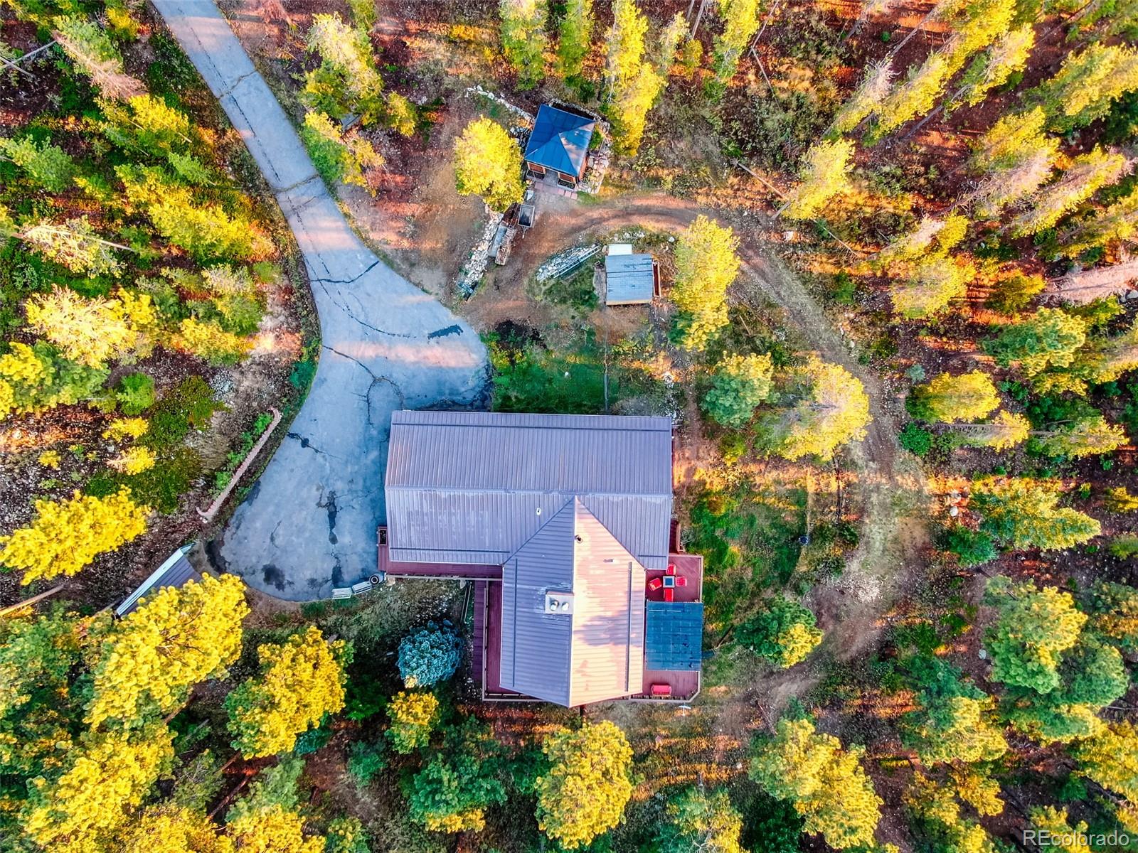 8440 South Warhawk Road Conifer, CO 80433 - Photo 40 of 48 a picture of trees