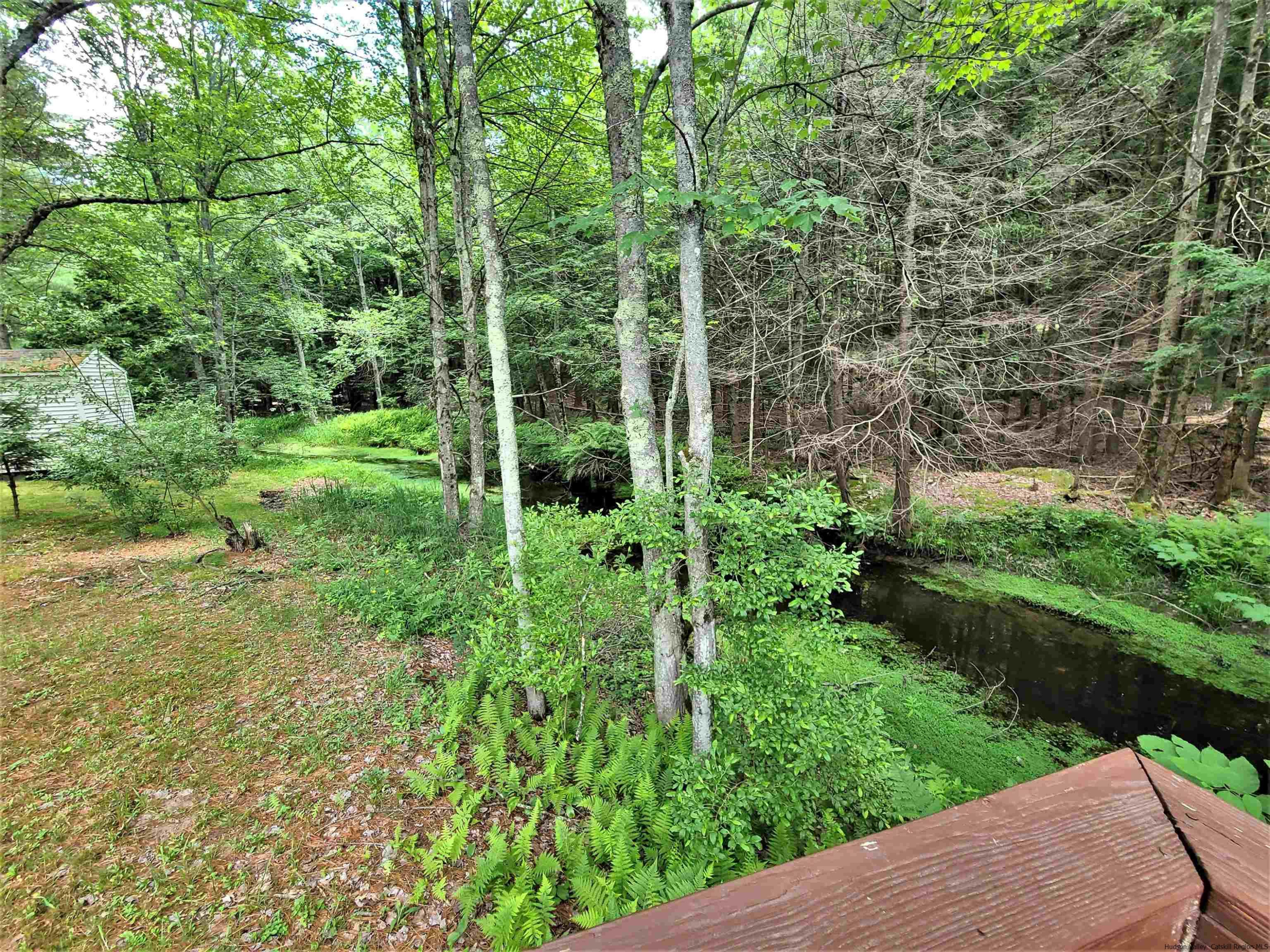 52 Medallion Road Kiamesha Lake, NY 12751 - Photo 30 of 31 a view of a garden with plants and large trees