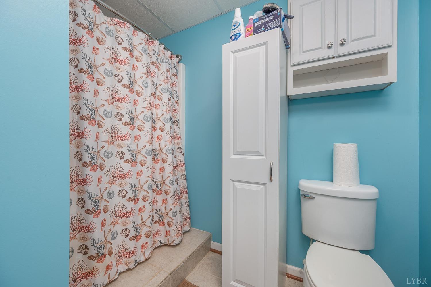 7179 Stage Road Concord, VA 24538 - Photo 31 of 52 a white toilet sitting next to a shower curtain