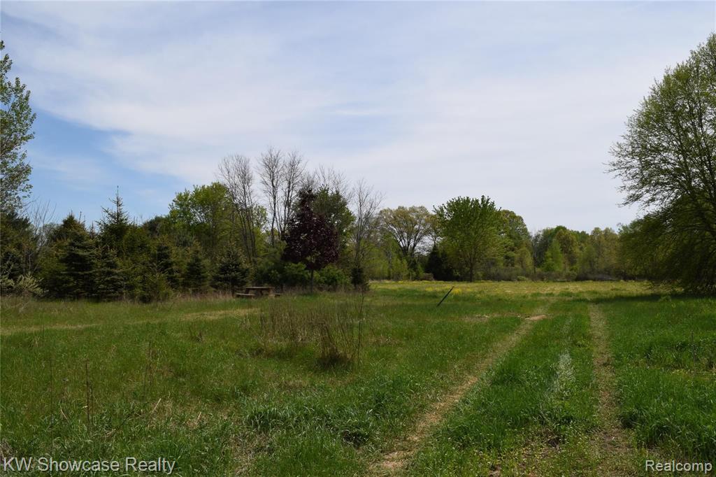 V/l McClements Road Brighton, MI 48114 - Photo 6 of 7