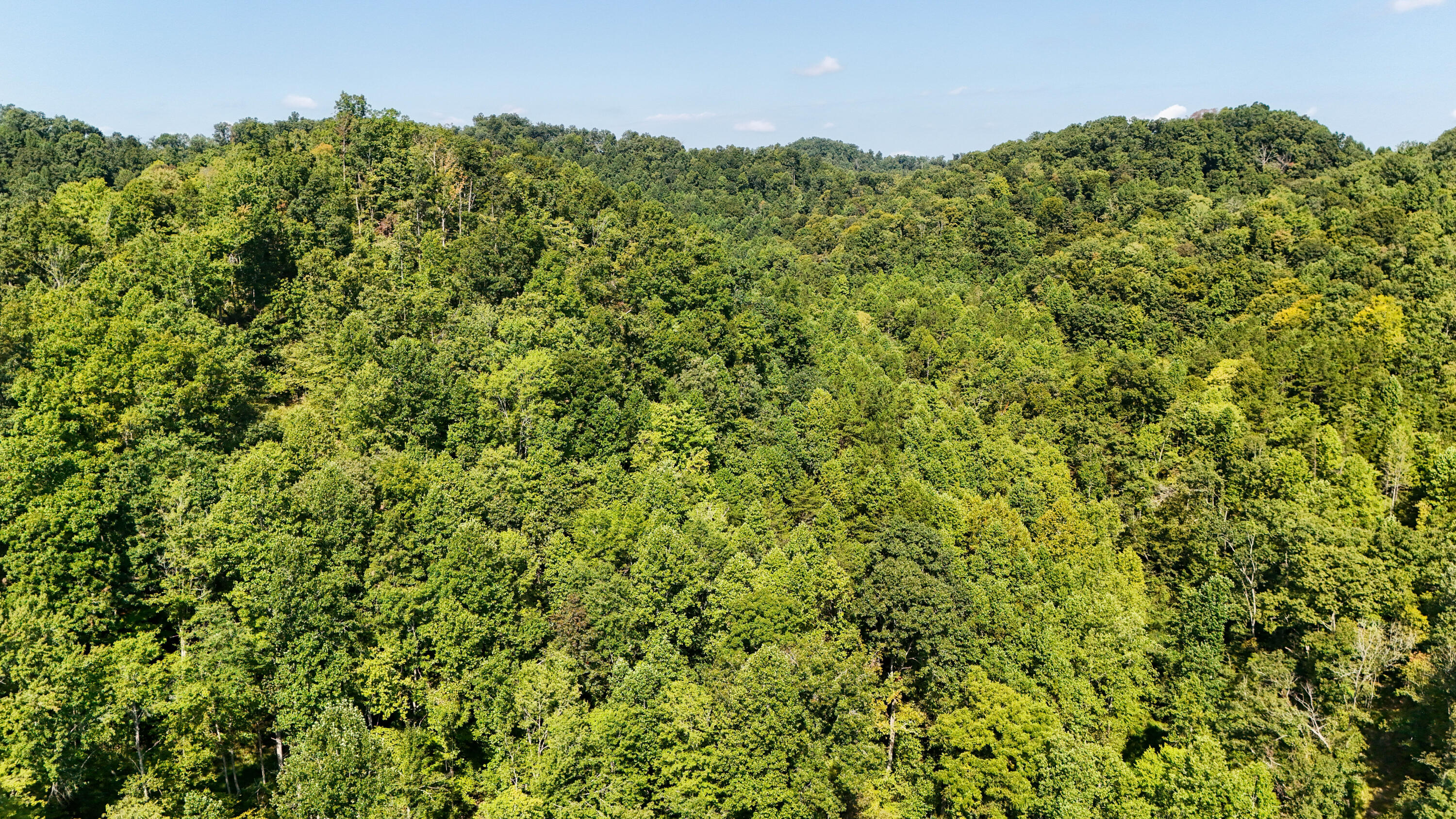 0 Hogskin Road Manchester, KY 40962 - Photo 8 of 25 LightroomRealEstateEdits-6
