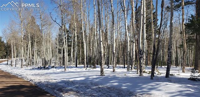 2700 Elk Ridge North Divide, CO 80814 - Photo 8 of 23 beautiful aspen grove