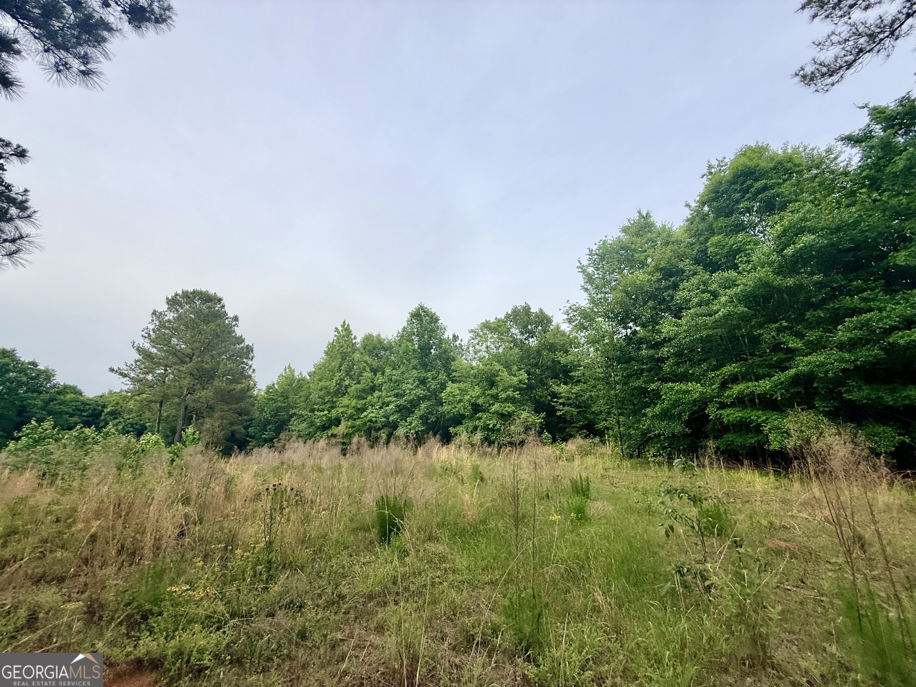 715 Fulsome Creek Road Sparta, GA 31087 - Photo 41 of 117