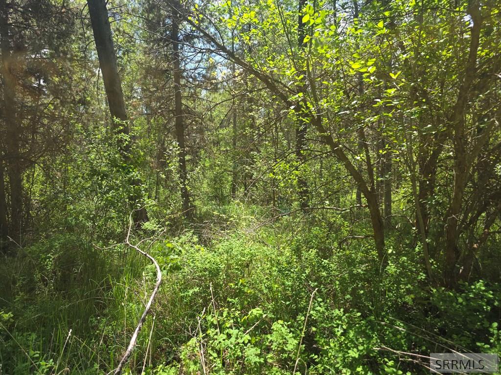 4585 East 1400 Road North Ashton, ID 83420 - Photo 16 of 31