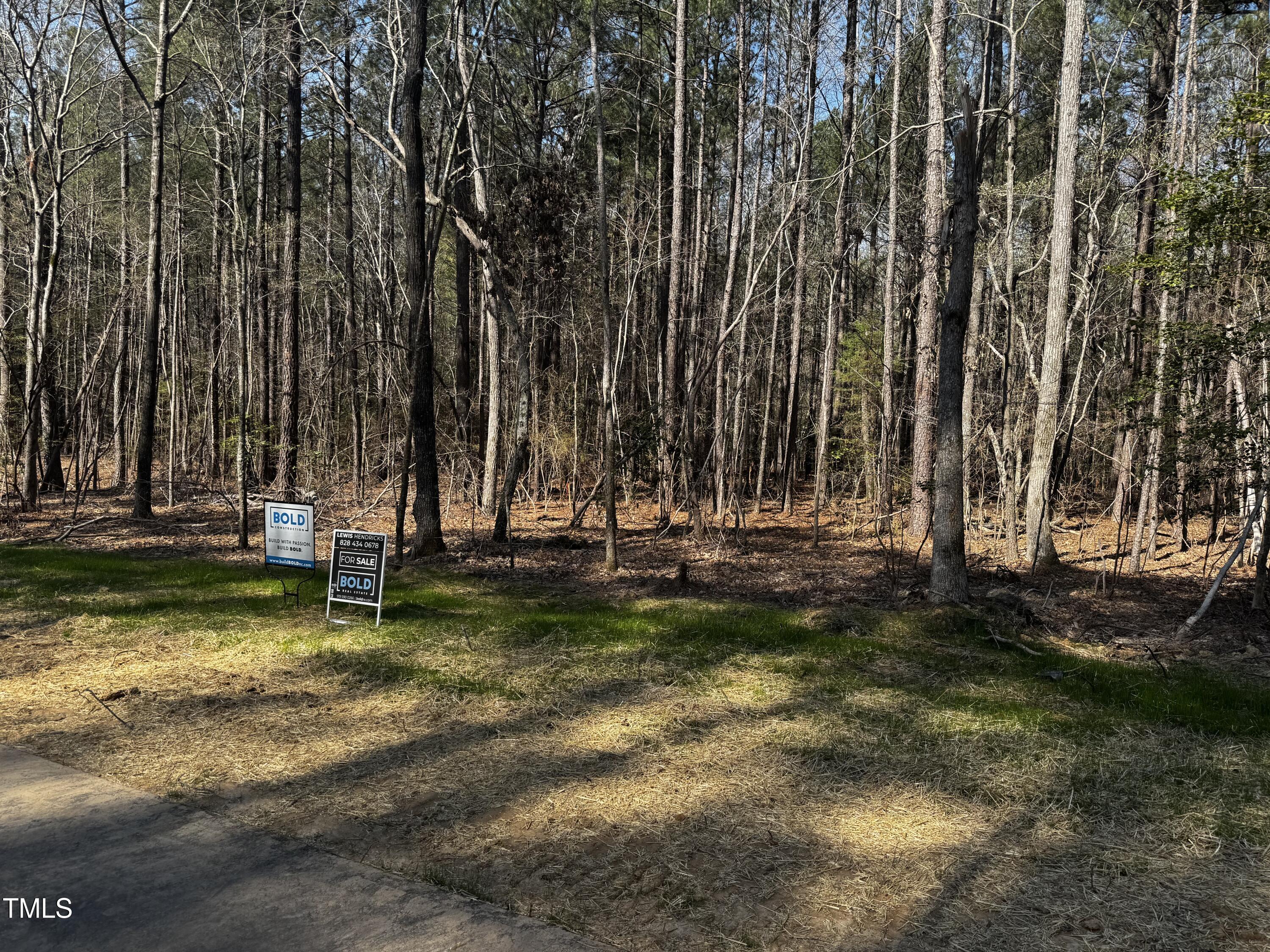 120 Anfield Road New Hill, NC 27562 - Photo 5 of 19 a view of swimming pool with a yard and trees