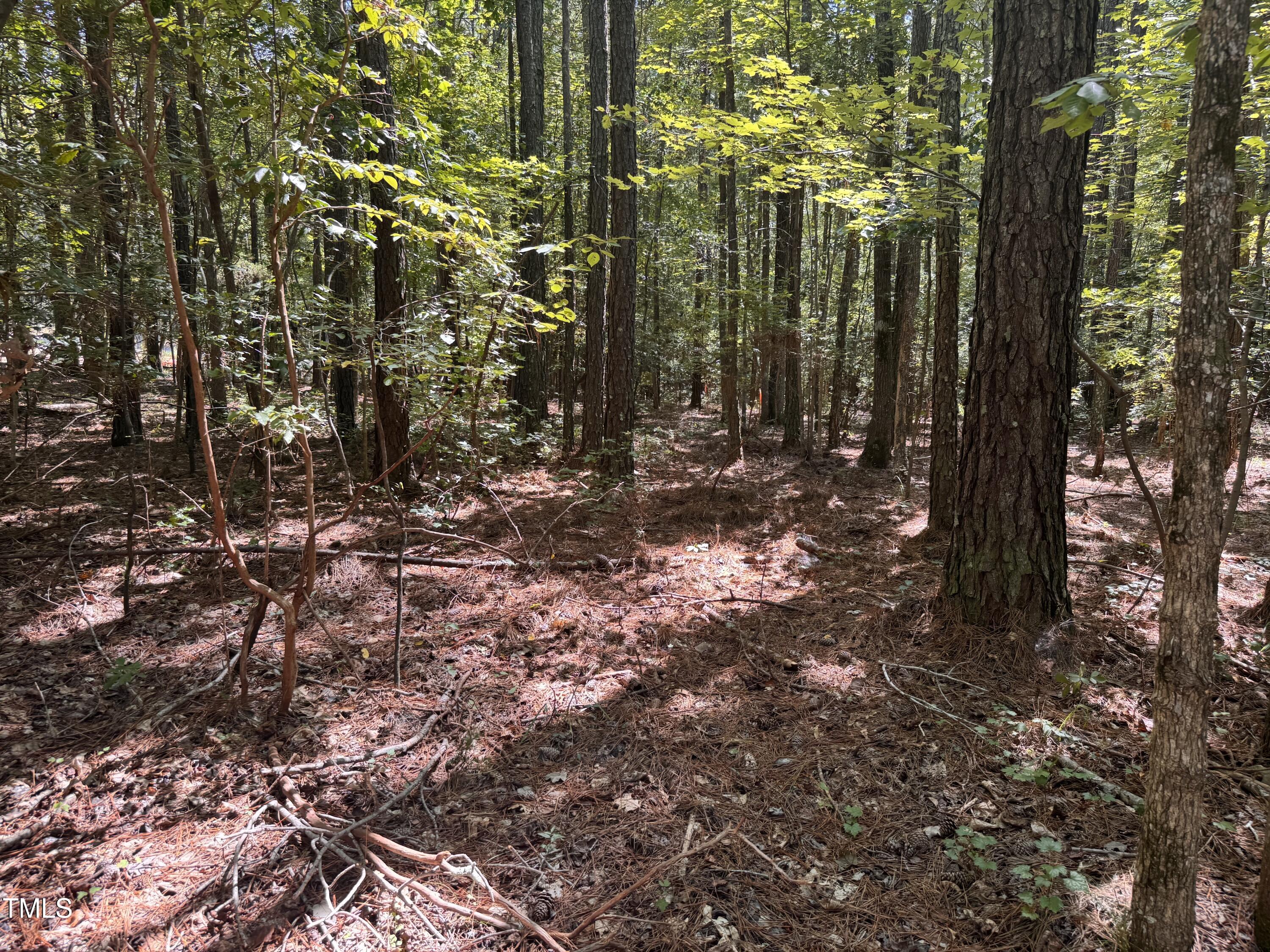 120 Anfield Road New Hill, NC 27562 - Photo 6 of 19 a view of a forest