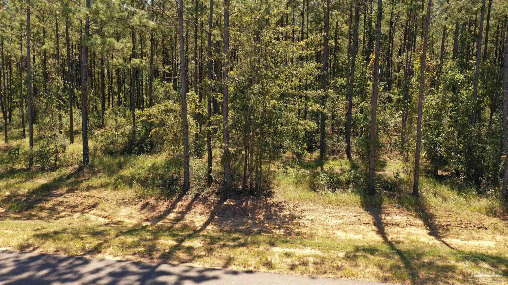 3 Bellfork Road Atmore, AL 36502 - Photo 1 of 27