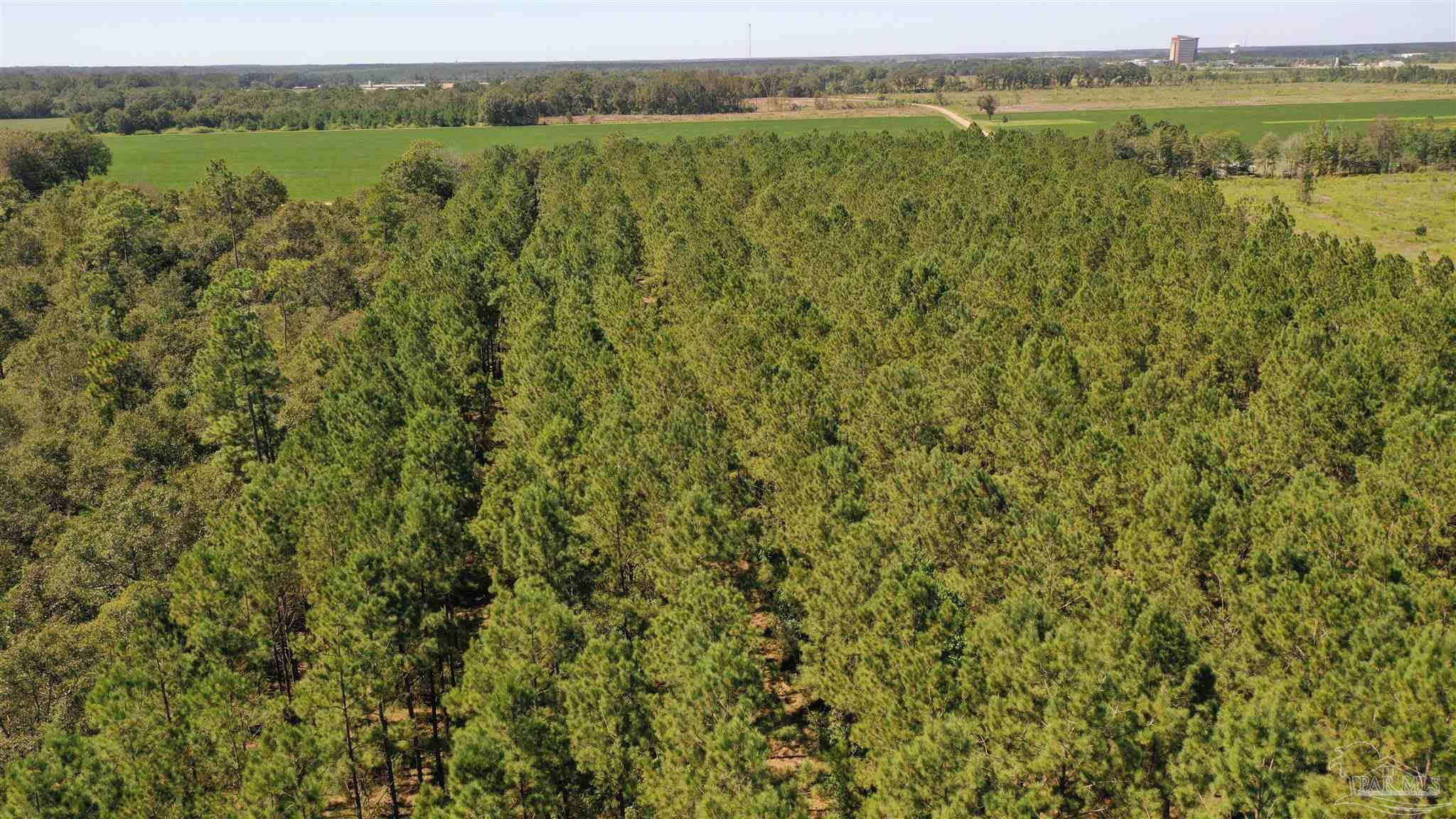 3 Bellfork Road Atmore, AL 36502 - Photo 13 of 27