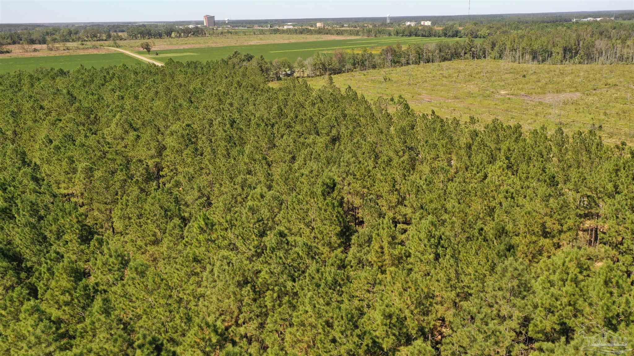 3 Bellfork Road Atmore, AL 36502 - Photo 14 of 27