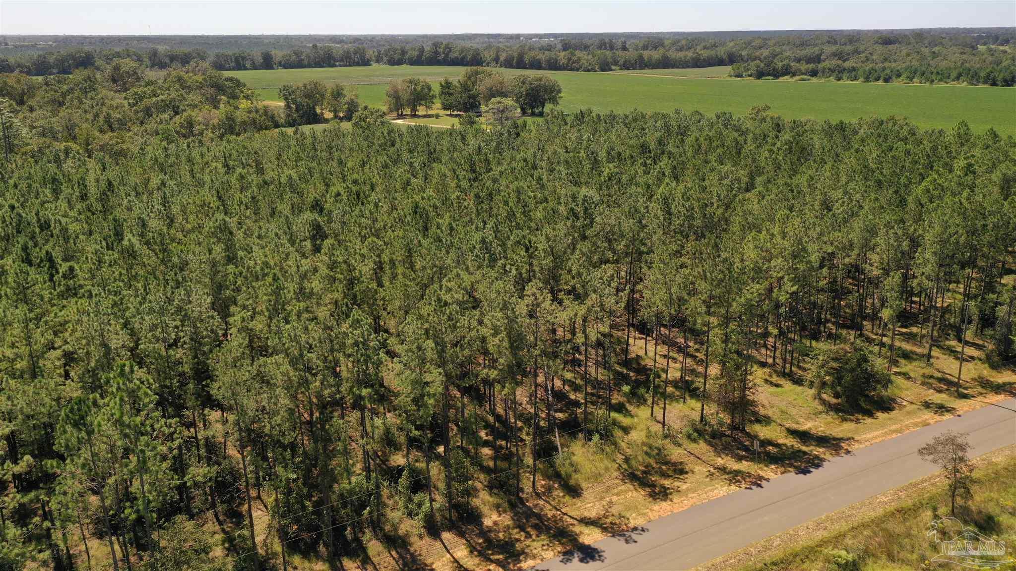 3 Bellfork Road Atmore, AL 36502 - Photo 17 of 27