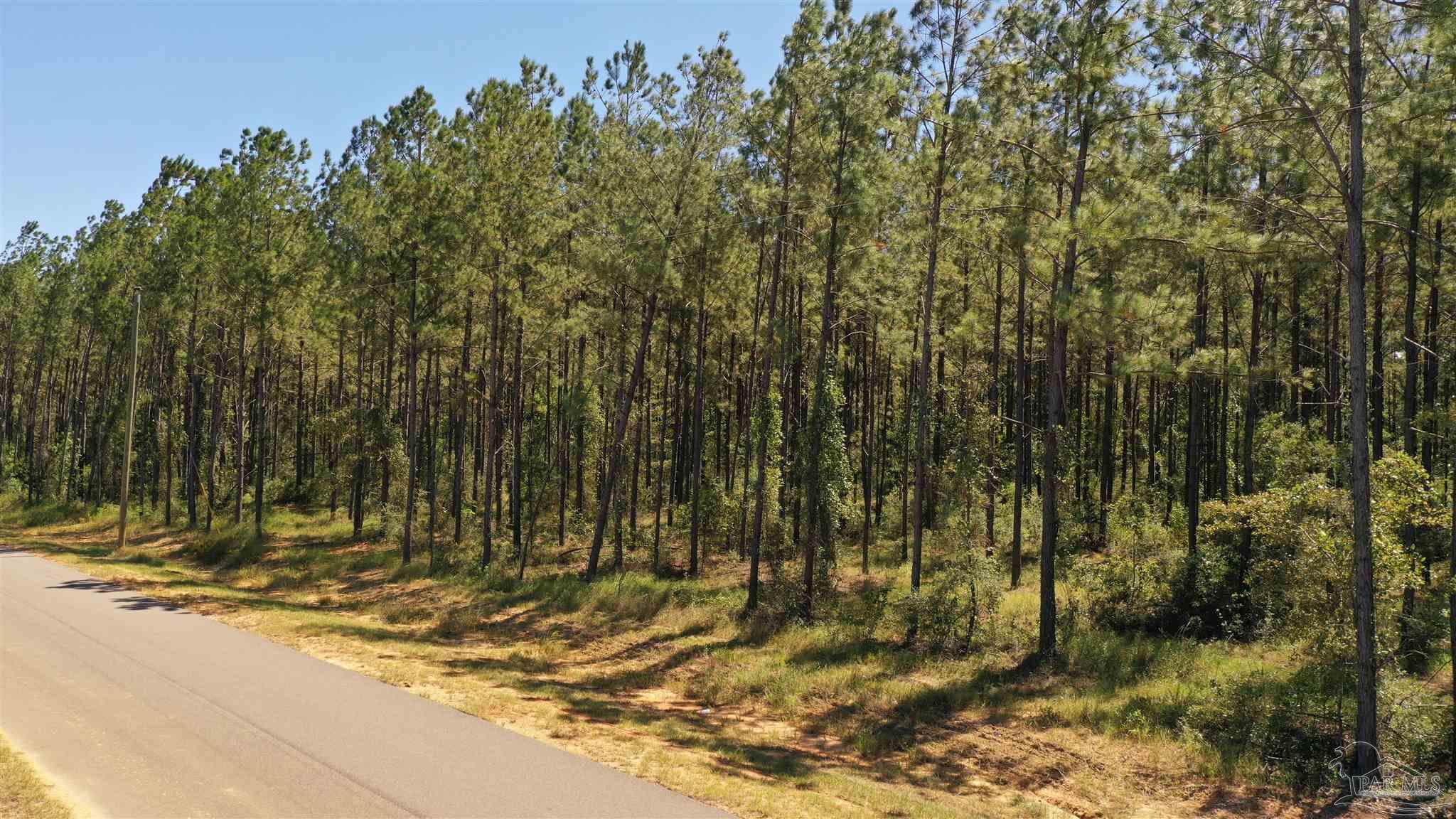3 Bellfork Road Atmore, AL 36502 - Photo 18 of 27