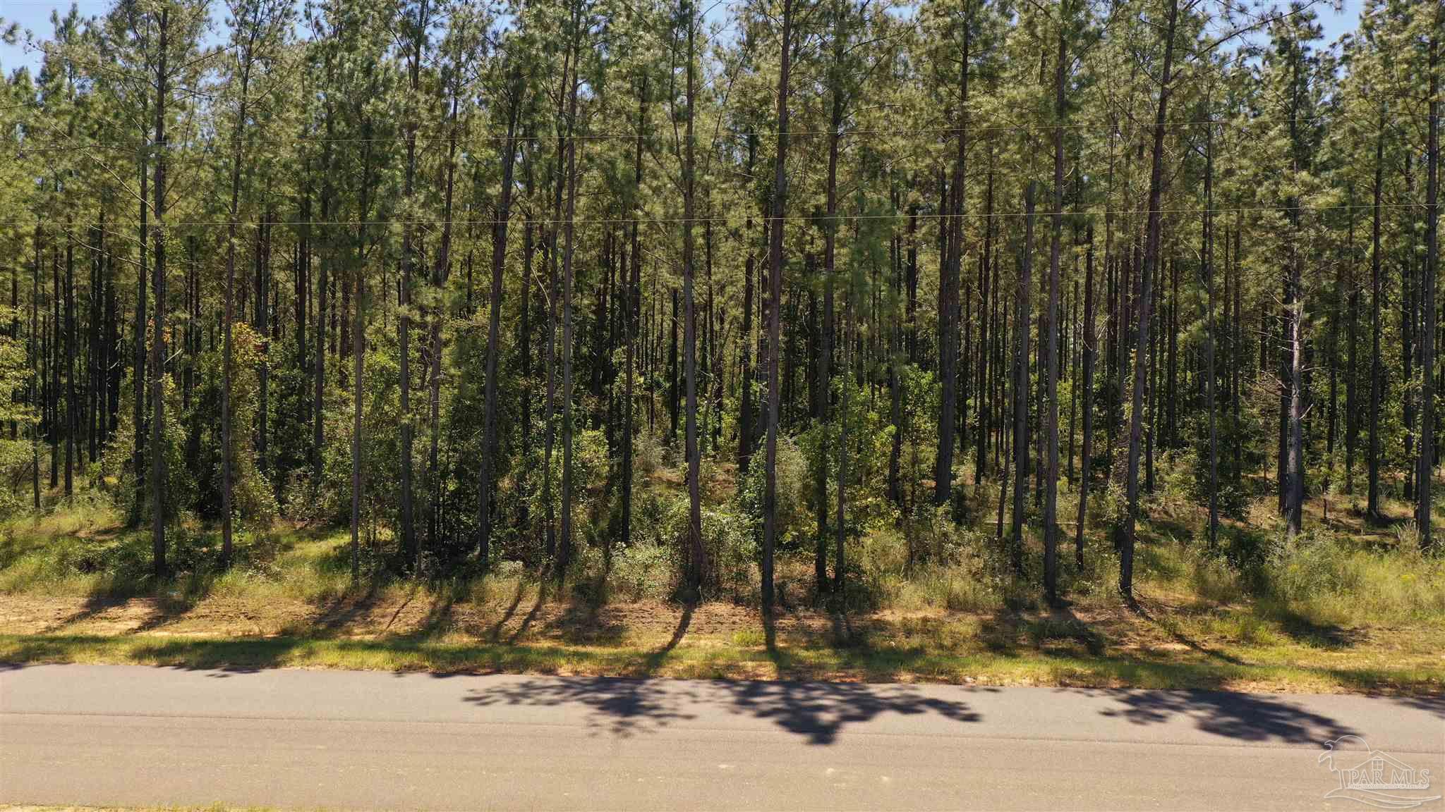 3 Bellfork Road Atmore, AL 36502 - Photo 19 of 27