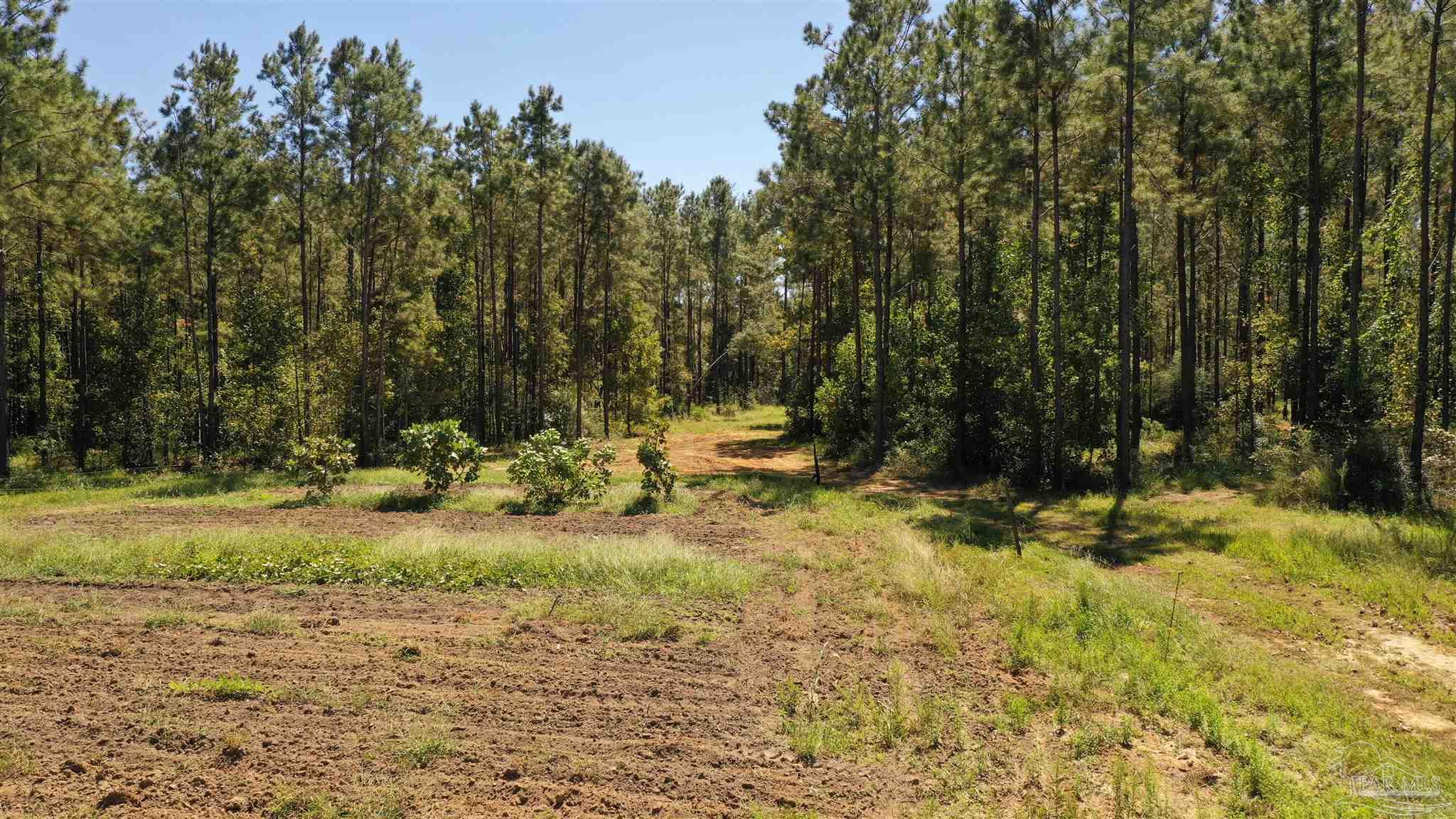 3 Bellfork Road Atmore, AL 36502 - Photo 21 of 27