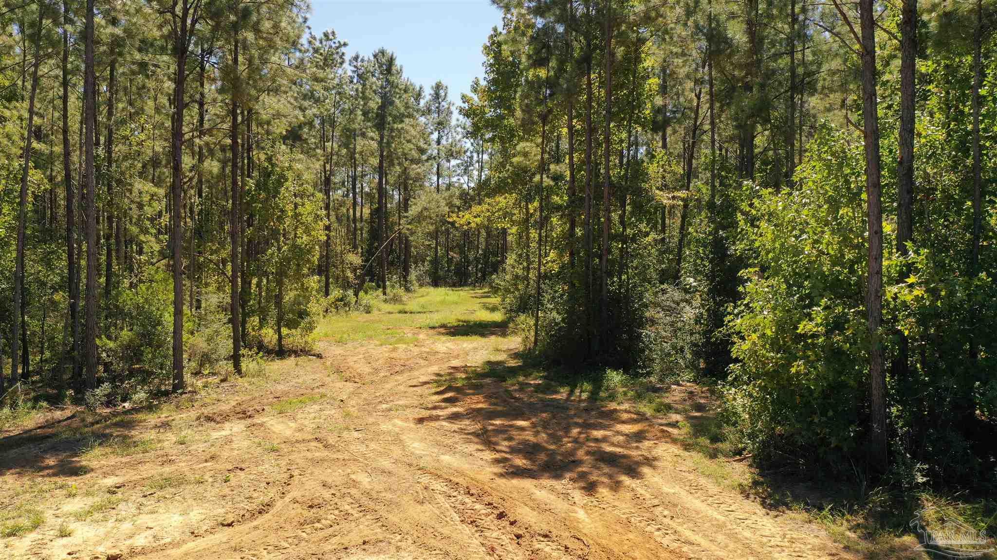 3 Bellfork Road Atmore, AL 36502 - Photo 22 of 27