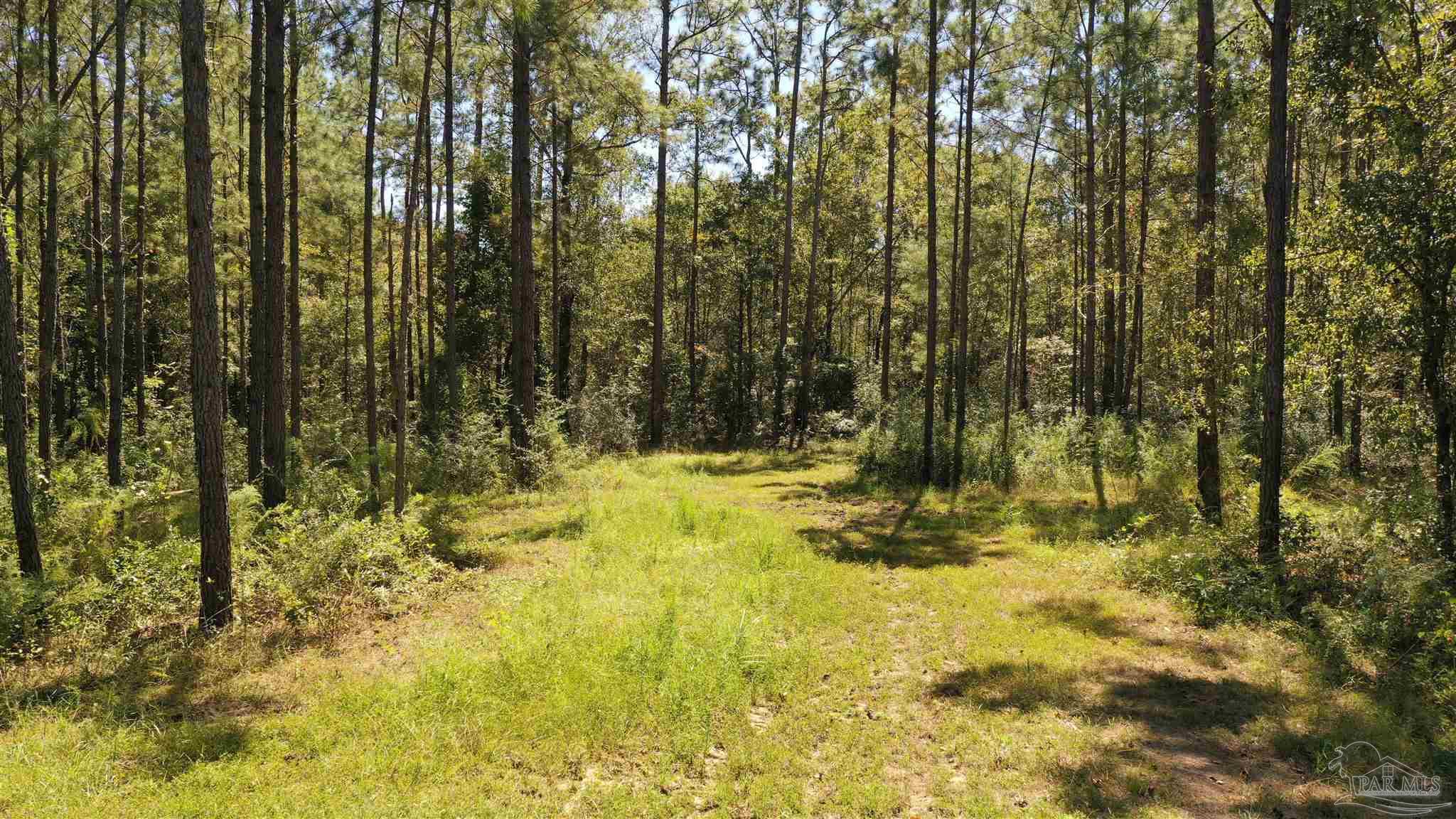 3 Bellfork Road Atmore, AL 36502 - Photo 23 of 27