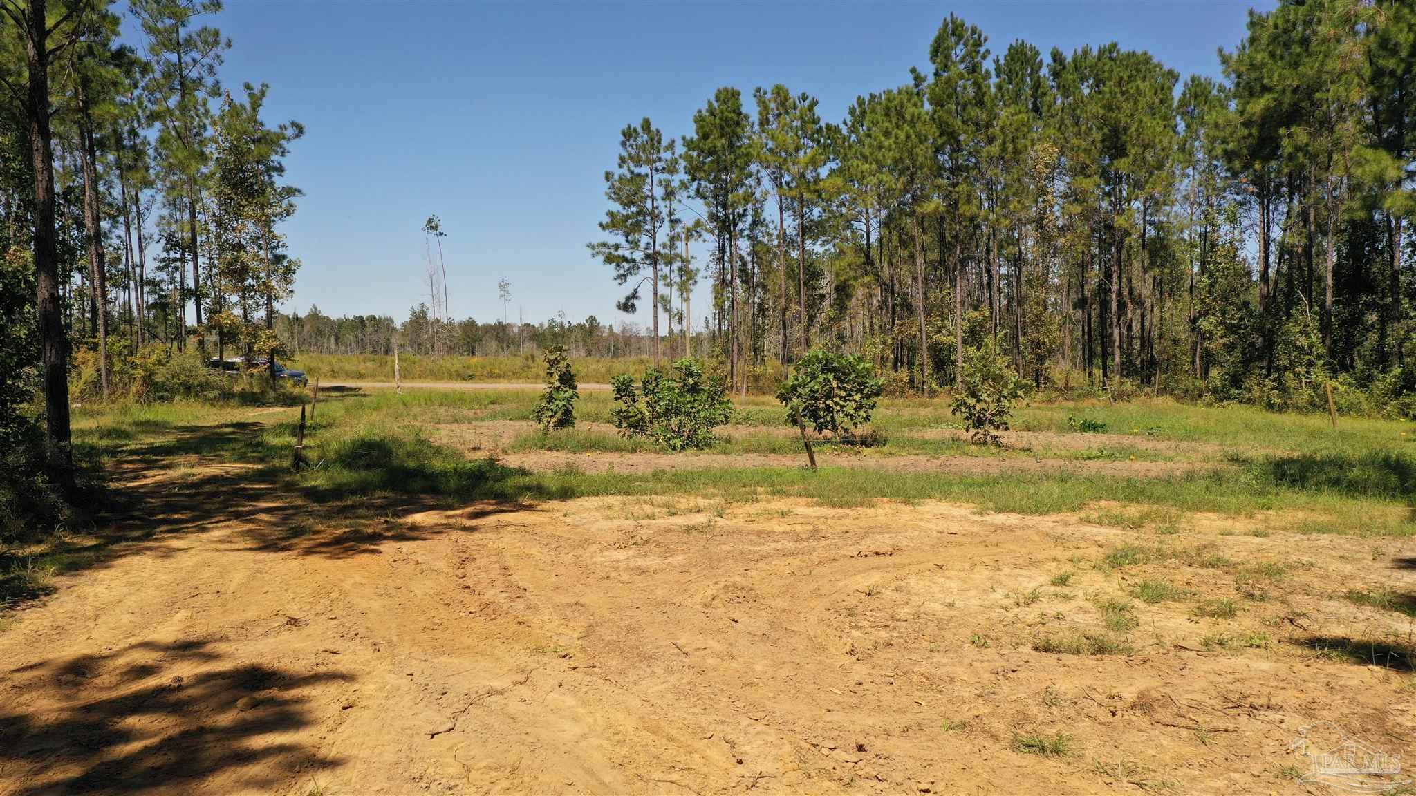 3 Bellfork Road Atmore, AL 36502 - Photo 24 of 27
