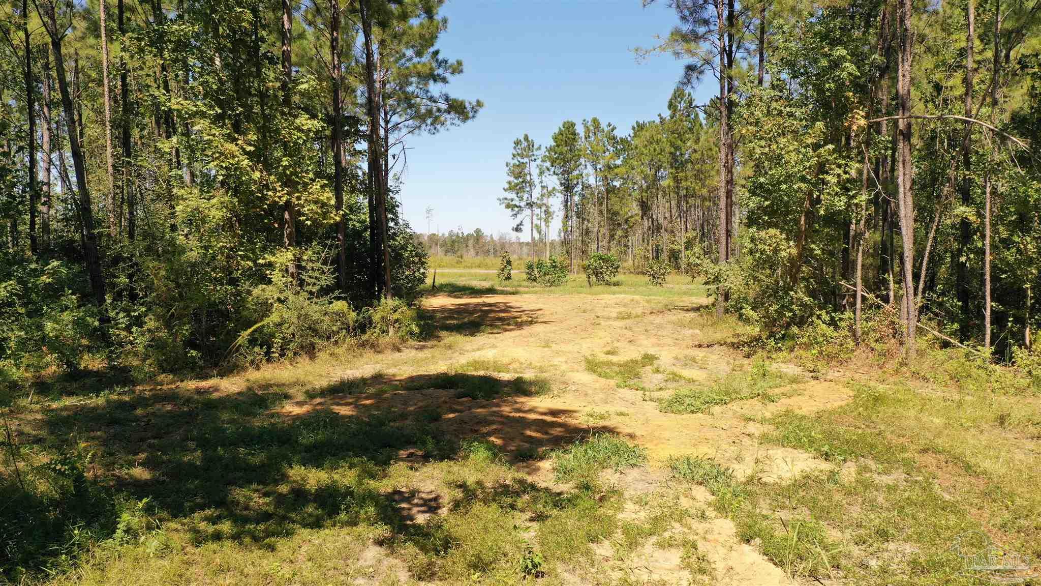 3 Bellfork Road Atmore, AL 36502 - Photo 25 of 27