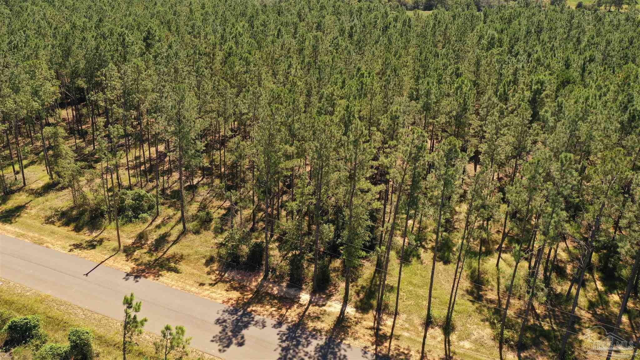 3 Bellfork Road Atmore, AL 36502 - Photo 4 of 27