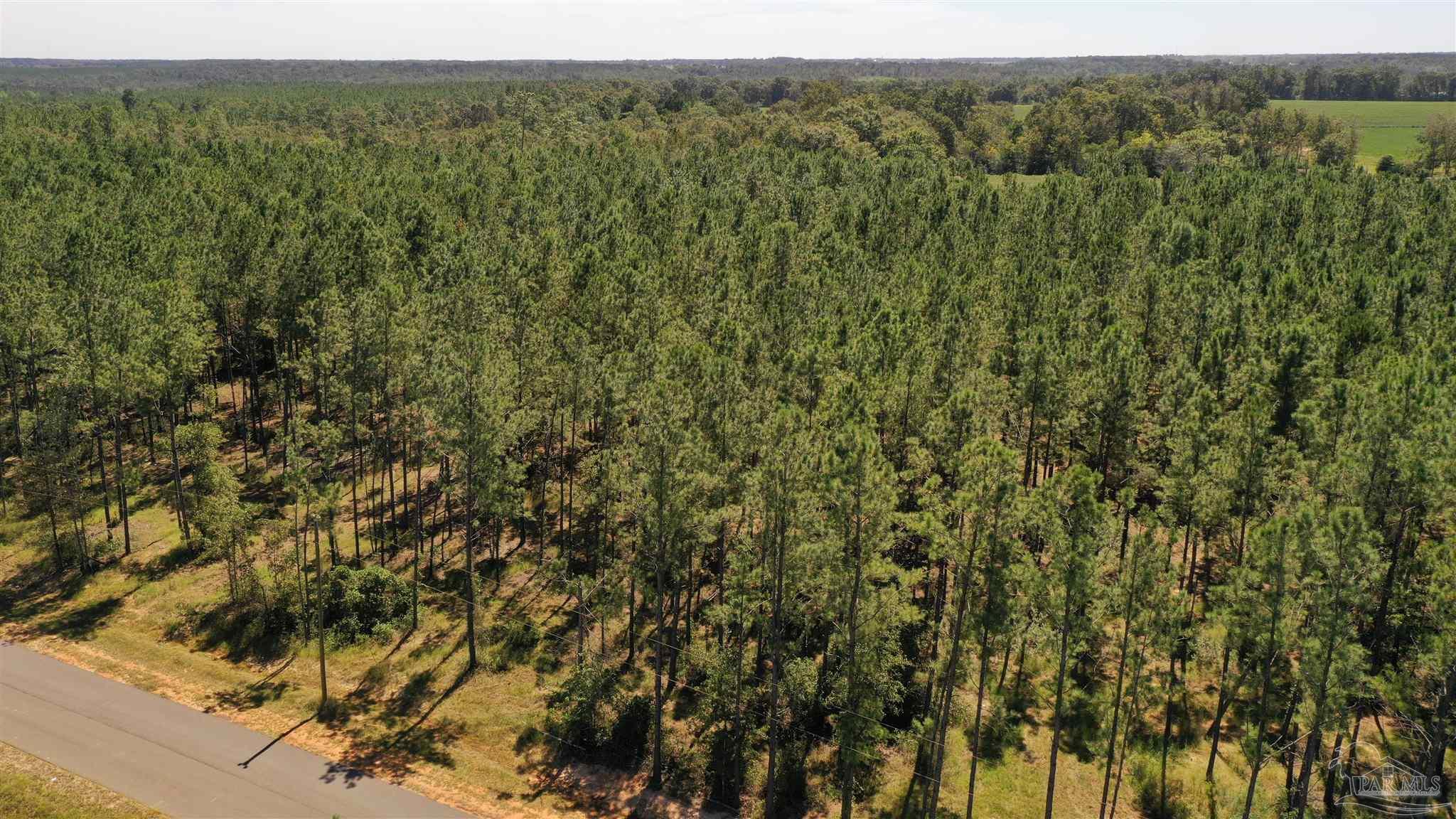 3 Bellfork Road Atmore, AL 36502 - Photo 5 of 27