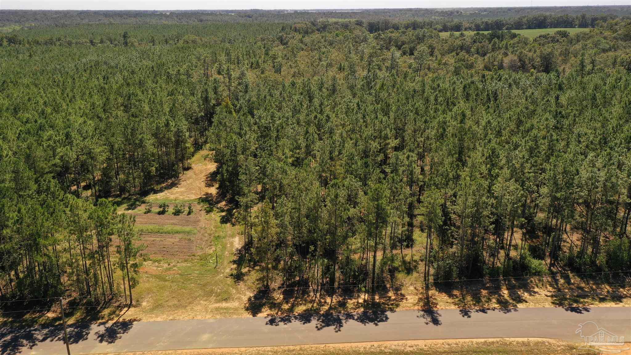 3 Bellfork Road Atmore, AL 36502 - Photo 6 of 27