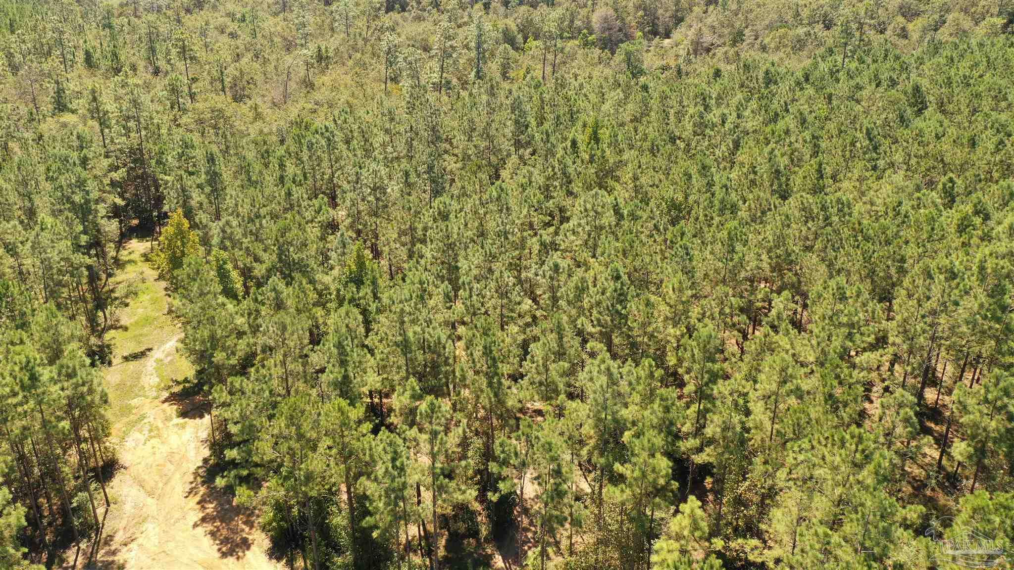 3 Bellfork Road Atmore, AL 36502 - Photo 9 of 27