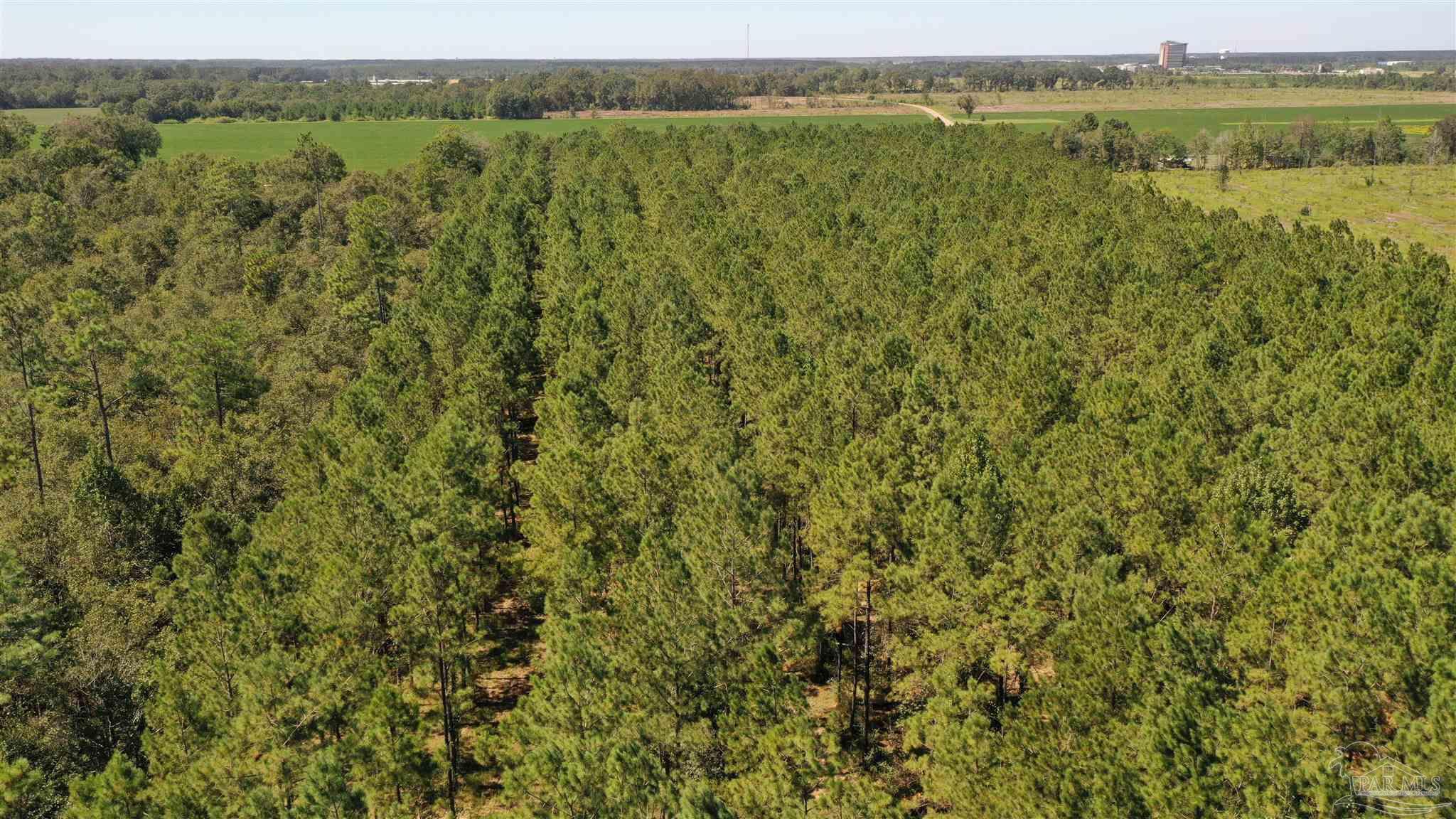 3 Bellfork Road Atmore, AL 36502 - Photo 10 of 27