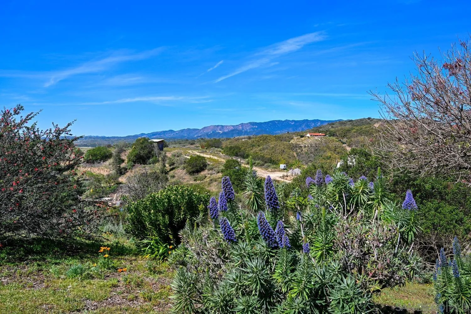 1282 Olive Avenue Fallbrook, CA 92028 - Photo 3 of 55 a view of a city with lush green forest