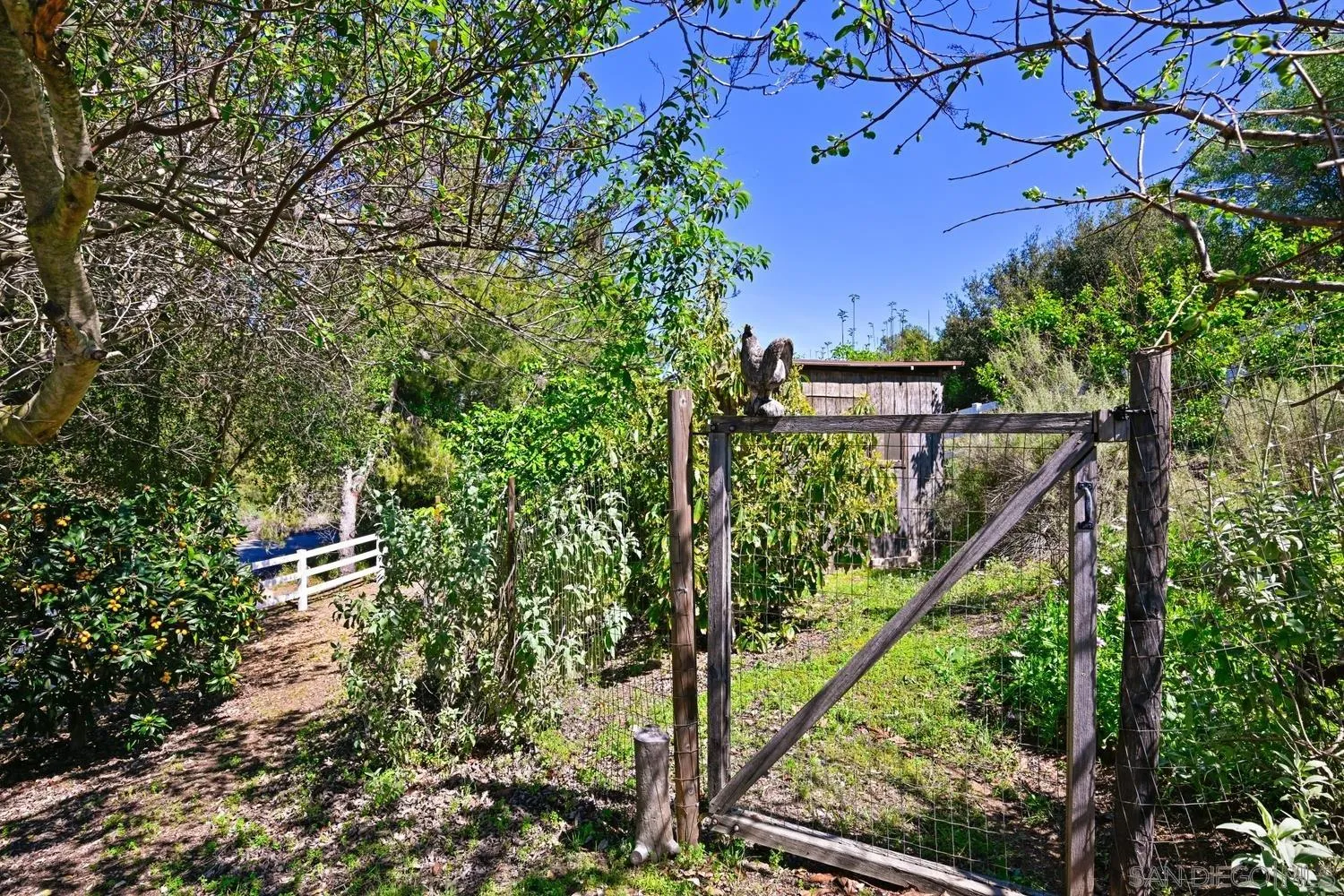 1282 Olive Avenue Fallbrook, CA 92028 - Photo 37 of 55 a view of mountain with a tree