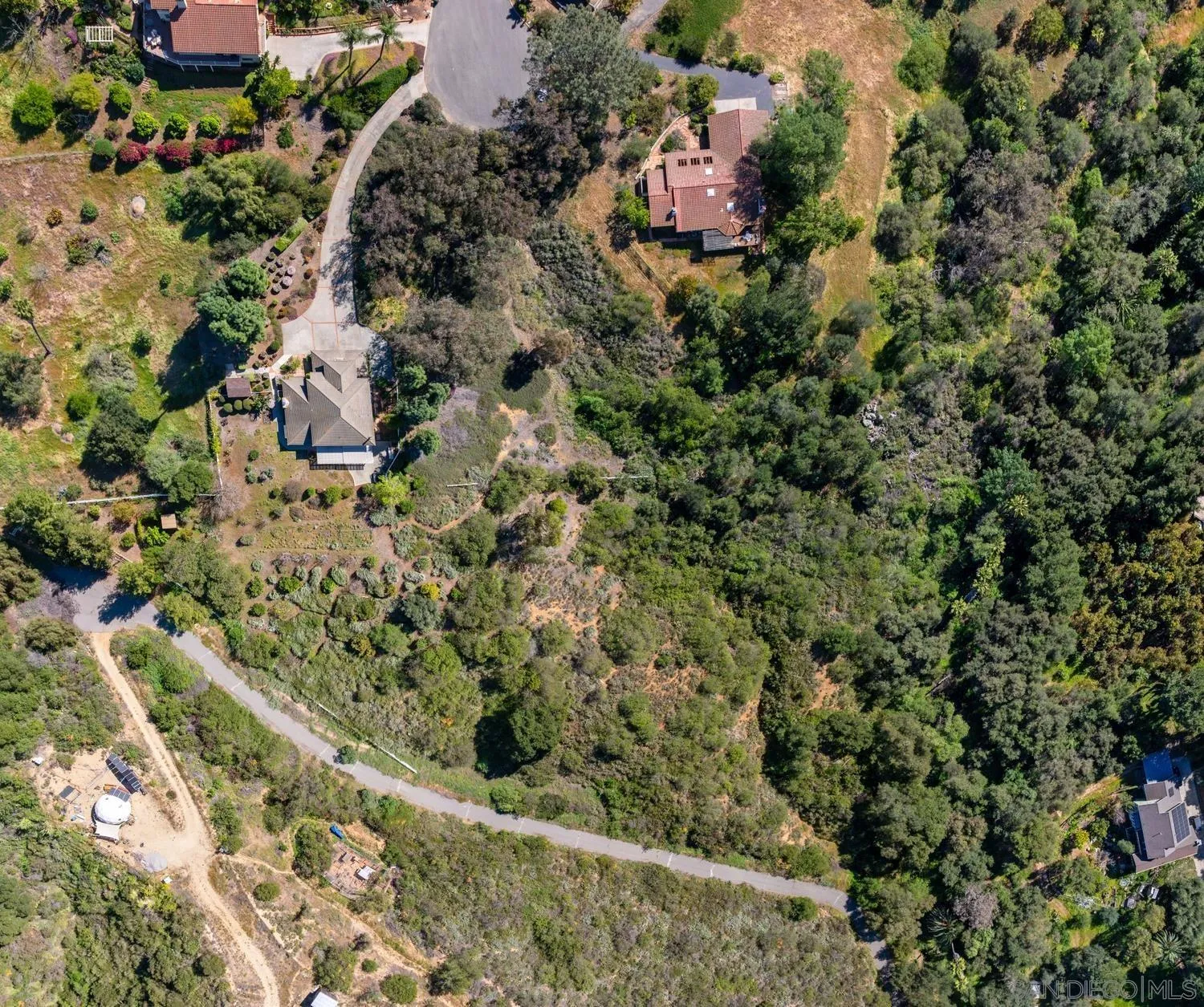 1282 Olive Avenue Fallbrook, CA 92028 - Photo 48 of 55 a view of a forest with a tree