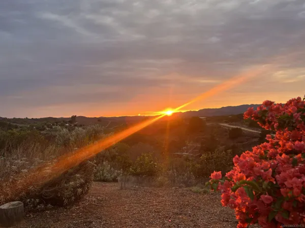 $1,195,000 | 1282 Olive Avenue, Fallbrook, CA 92028