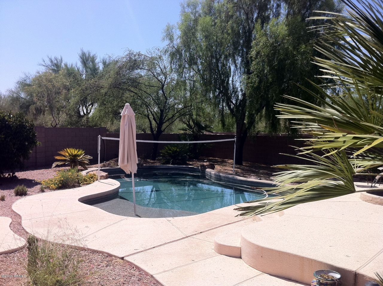 4535 East Swilling Road Phoenix, AZ 85050 - Photo 11 of 13 Pool