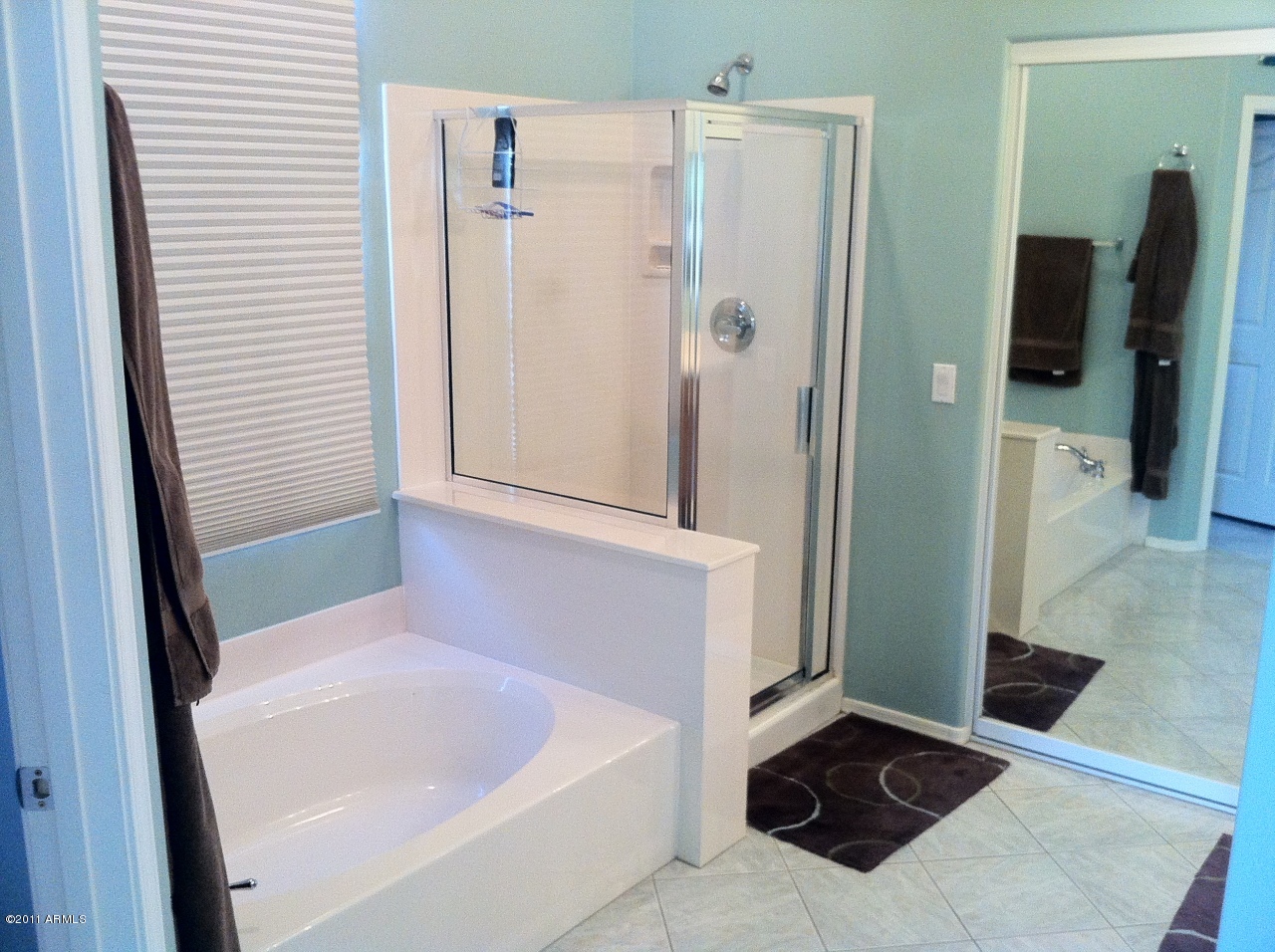 4535 East Swilling Road Phoenix, AZ 85050 - Photo 9 of 13 Master Bathroom