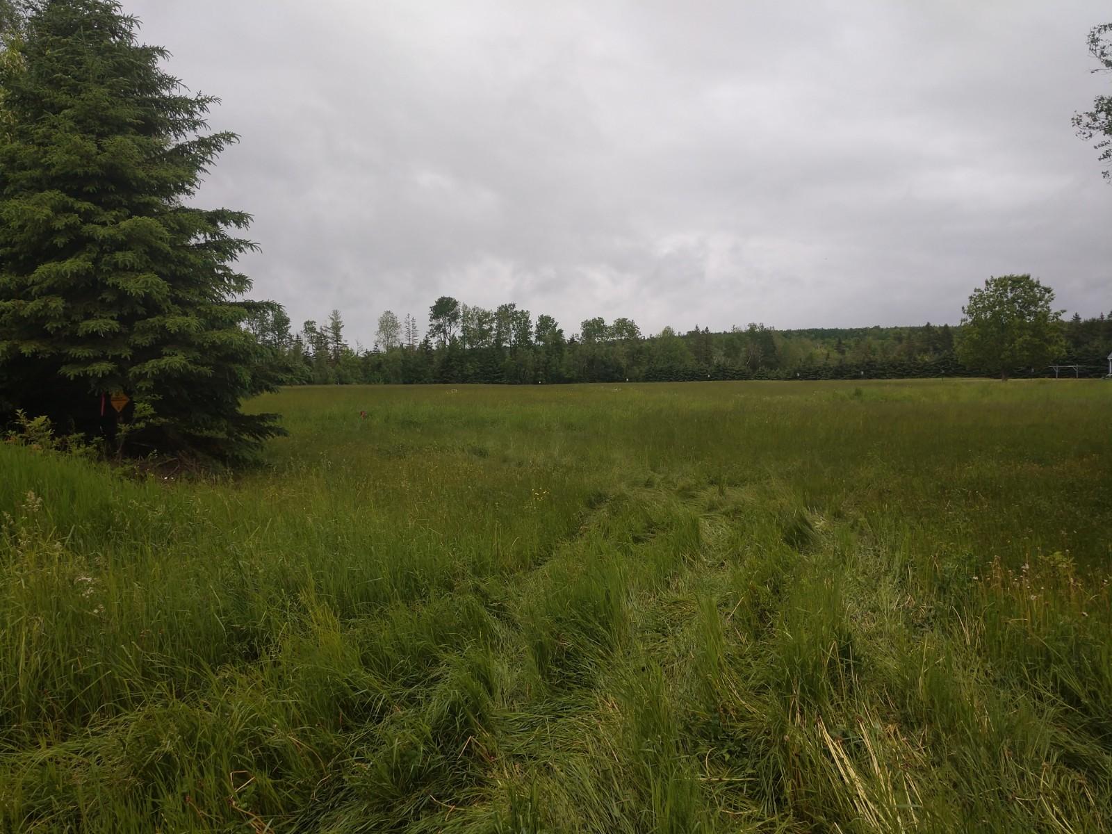 1368 Estabrook Road Amity, ME 04471 - Photo 3 of 9 IMG_20190621_134400518 (1)
