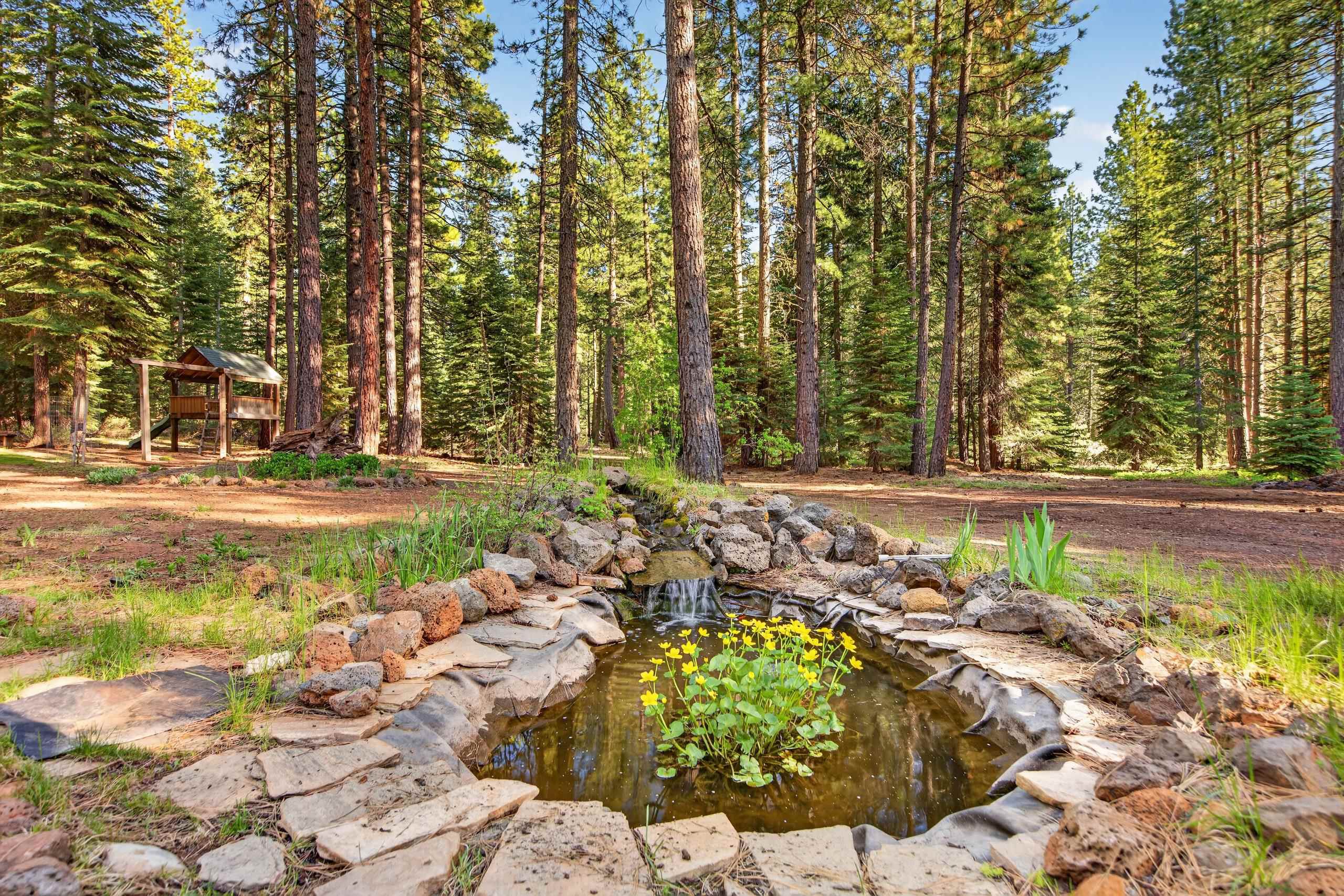 463-000 Moonlight Ranch Rd Westwood Road Susanville, CA 96130 - Photo 3 of 46 a view of swimming pool with a patio