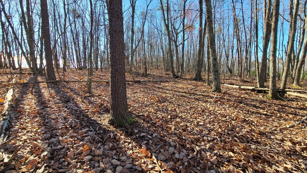 2 Rocky Mount Road Dillwyn, VA 23936 - Photo 12 of 19 Gallery Image 12