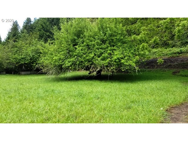 52535 Big Creek Road Myrtle Point, OR 97458 - Photo 9 of 31 Gallery Image 9