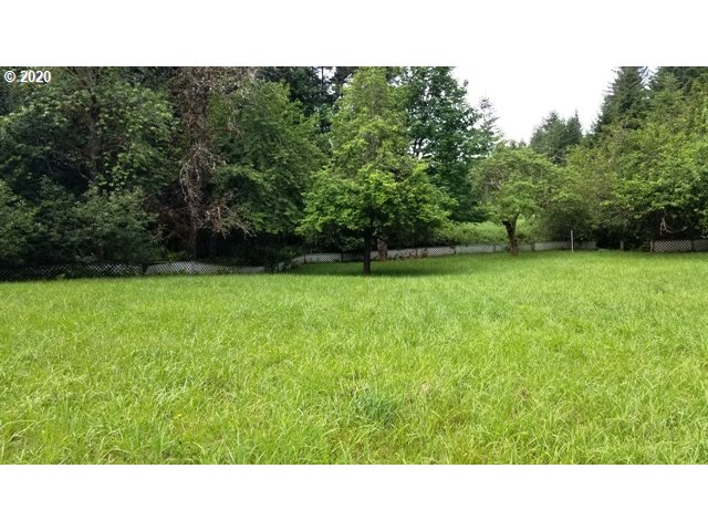 52535 Big Creek Road Myrtle Point, OR 97458 - Photo 10 of 31 Gallery Image 10