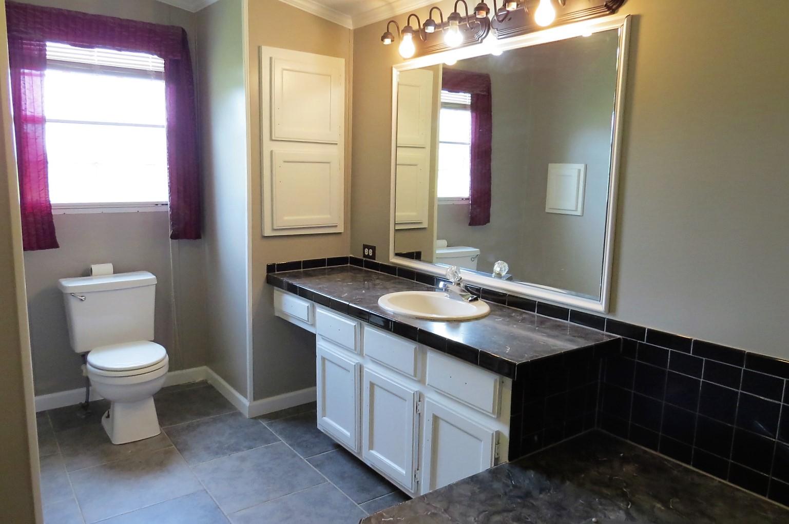 5035 Rutledge Pike Rutledge, TN 37861 - Photo 20 of 29 Master Bathroom