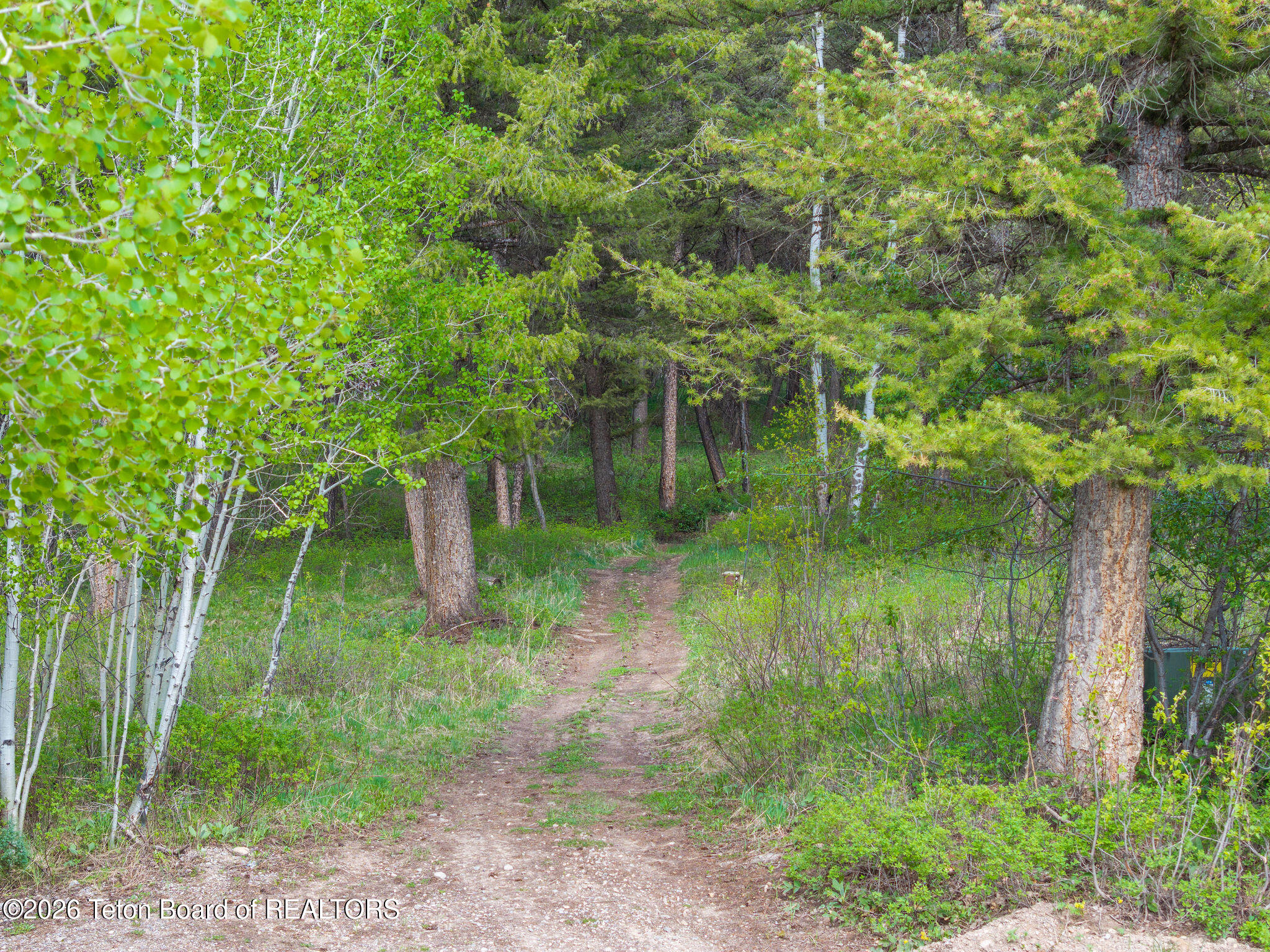 256 Pierce Lane Etna, WY 83118 - Photo 47 of 47 DJI_20250513032608_0111_D
