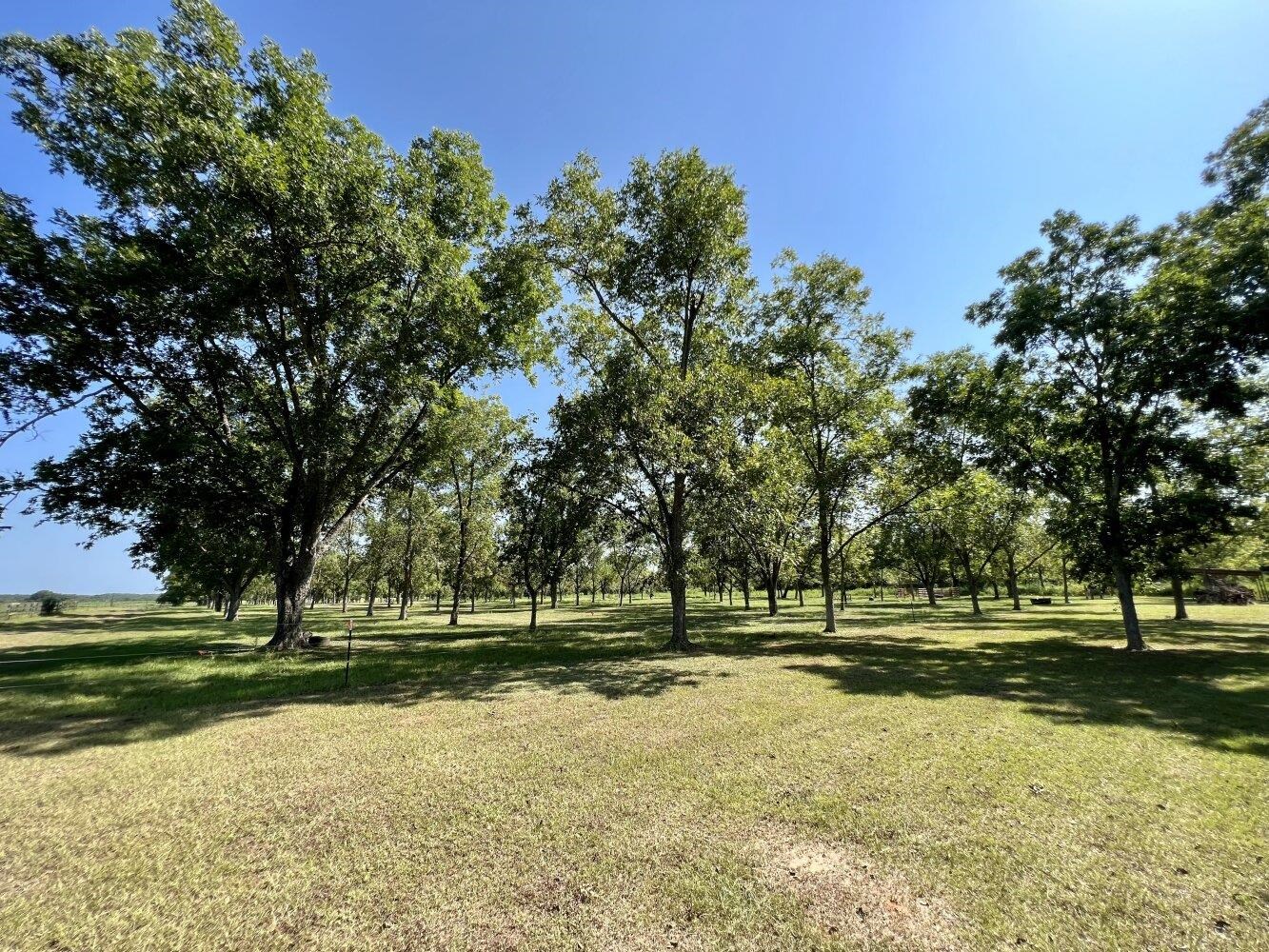 14253 Woodhaven Dairy Road East Summerdale, AL 36580 - Photo 36 of 50