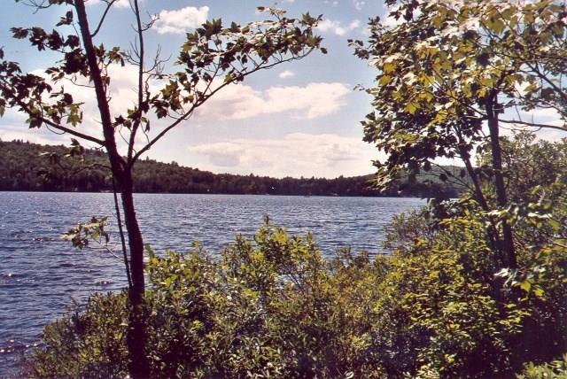Tbd Lot 10 Tbd Road Lincoln, ME 04457 - Photo 3 of 4 Photo