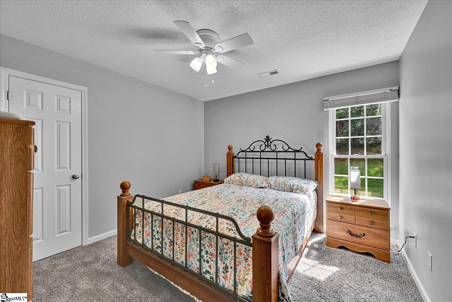 205 Willow Leaf Drive Seneca, SC 29672 - Photo 24 of 42